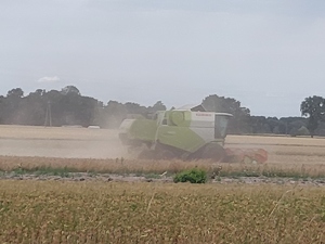 na zdjęciu widzimy maszynę rolniczą- kombajn zbożowy podczas pracy na polu.