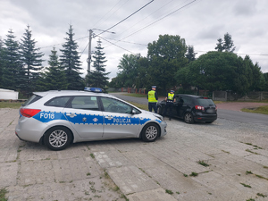 widzimy policjantów ruchu drogowego i radiowóz podczas kontroli drogowej pojazdu osobowego.