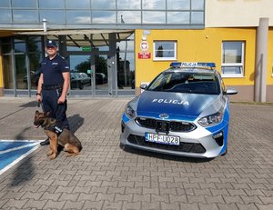 widzimy policjanta trzymającego psa na smyczy, oboje stoją przy radiowozie w tle widzimy budynek komendy.