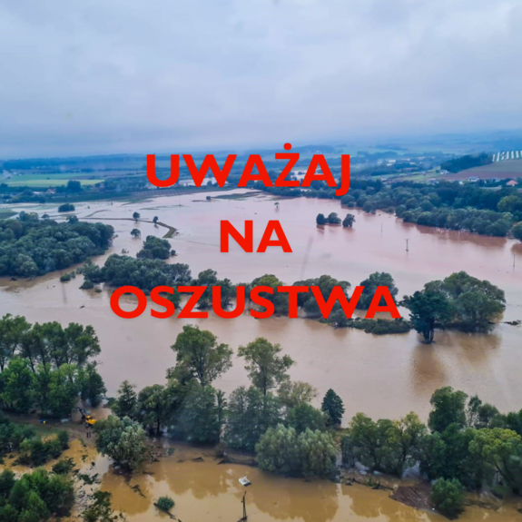 widzimy obszar zalany wodą, widać drzewa.