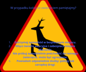 widzimy znak drogowy z dziką zwierzyną.