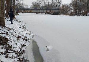 widzimy policjantkę stojąca na brzegu zamarzniętego zbiornika, w tle widzimy most na rzece.