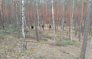 widzimy mundurowych penetrujących pola.