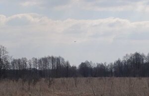 widzimy w oddali latający policyjny śmigłowiec.