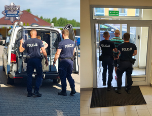 widzimy osoby zatrzymane prowadzone do pojazdu w obecności policjantów.