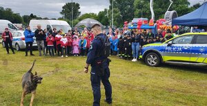 widzimy przewodnika psa wraz z czworonogiem oraz uczestników pikniku.