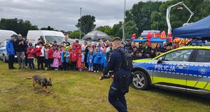 widzimy przewodnika psa wraz z czworonogiem oraz uczestników pikniku.