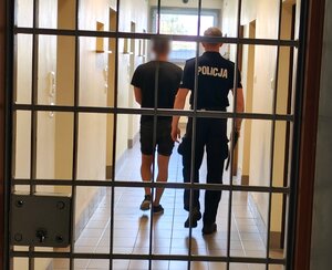 widzimy za kratami policjanta prowadzącego zatrzymanego.