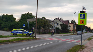 widzimy policjantów w rejonie przejścia dla pieszych.